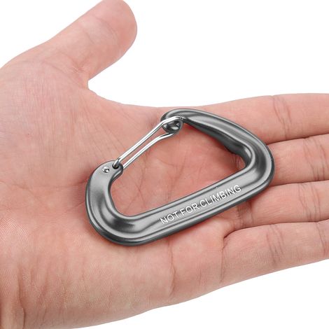 Mousqueton en Aluminium D à Ressort pour Escalade et Randonnée (Gris) (1/5)