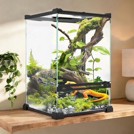 Terrarium transparent en verre trempé 20 x 20 x 30 cm (1/5)