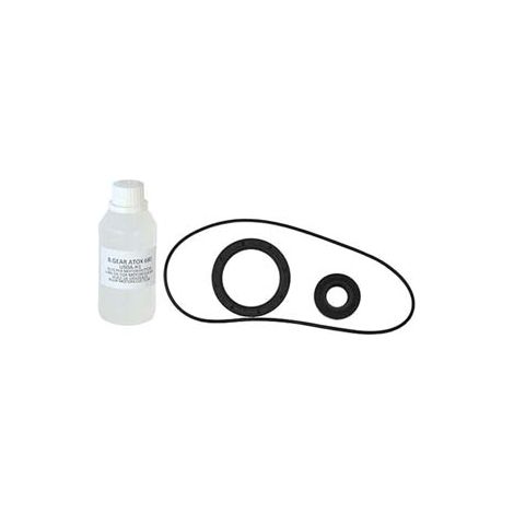 KIT RICAMBIO MOTORIDUTTORE 1002 REBER
