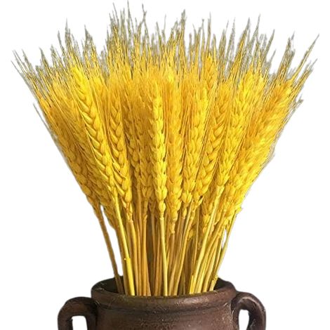 100 pièces de fleurs artificielles, plantes artificielles, grandes gerbes de blé séchées naturelles, tiges de blé séchées, véritable blé pour couronnes, décoration de table, mariage, Noël (naturel)