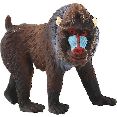 1 figurine de Macaca arctoides (1/3)
