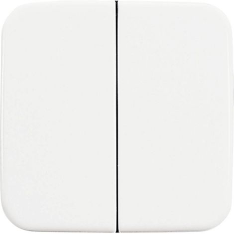 BUSCH-JAEGER 2505-214 PLAQUE DE RECOUVREMENT, COMMUTATEUR MULTIPLE, COMMUTATEUR INVERSEUR DOUBLE, BOUTON-POUSSOIR DOUBLE, BLANC (1/2)