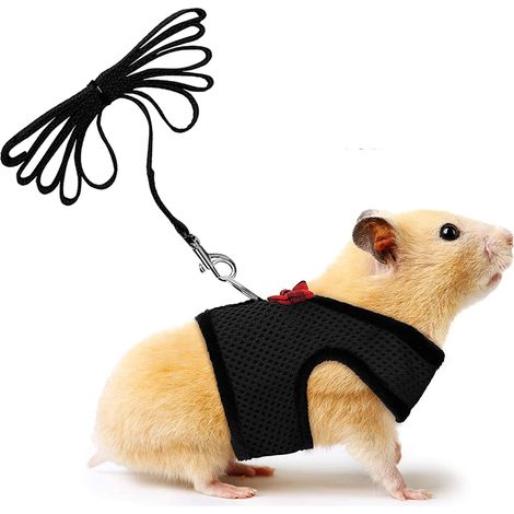Harnais doux + laisse pour petits animaux avec clochette et nœud papillon