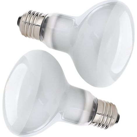 Lampe Chauffante, 2pcs 50W Lampe Chauffante Tortue, UVA E27 Spiral Lampe Reptiles, 220V Silver Plated Glass Ampoule Lamp Chauffante Tortue pour Tortue Serpent Lézard Cacatoès Caméléon (1/5)