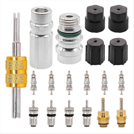 19 noyaux de valve de climatisation automobile R12 R134a pour service de charge P (1/5)