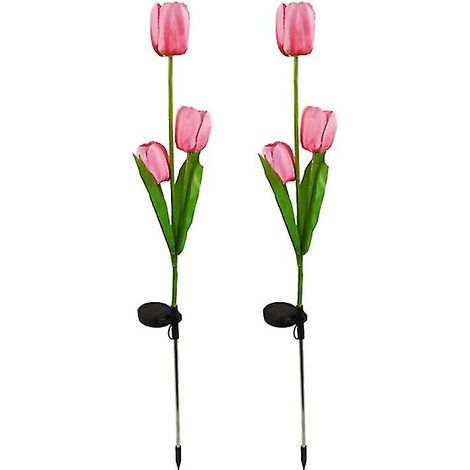 2 fleurs solaires LED (1/3)