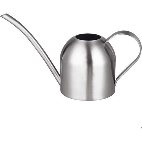 1 arrosoir en acier inoxydable, bec allongé, 1000 ml, pour jardin intérieur et extérieur, argent (1/4)