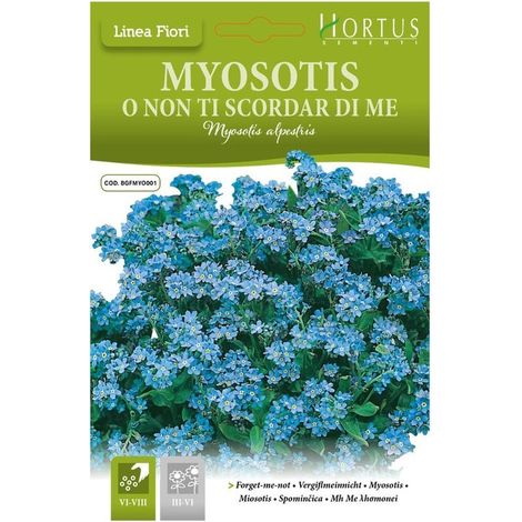 Myosotis Alpestris o Non ti scordar di me DB