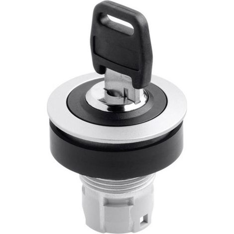 Schlegel Rontron RRJSSA18 conmutador con llave negro