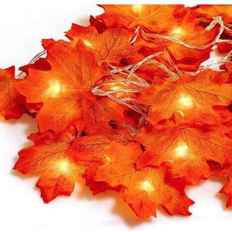 3m Outdoor String Lights with 30 LEDs – Flashing and Steady Lighting Modes – Decoration for Halloween and Thanksgiving (1/5)