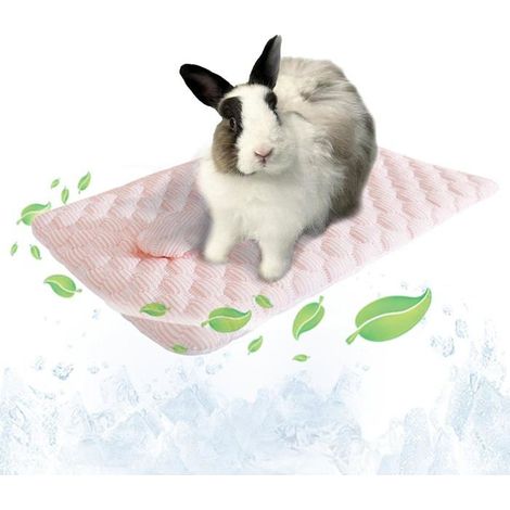 Tapis Rafraichissant Lapin,41X30Cm Tapis Fraicheur Lapin,Été Tapis Refroidissant Pour Lapins,Cochon D'Inde,Chinchilla,Hamste[CA32] (1/5)