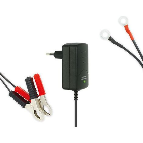 Chargeur Batterie Moto et Scooter - Pour Batterie Acide (1/2)