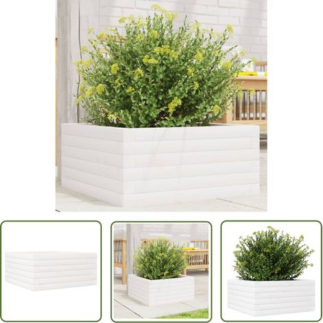 The Living Store Jardinière blanc 50x50x23 cm bois de pin massif - Jardinier - Pot De Fleurs - Plante - Extérieur - Terrasse (1/5)