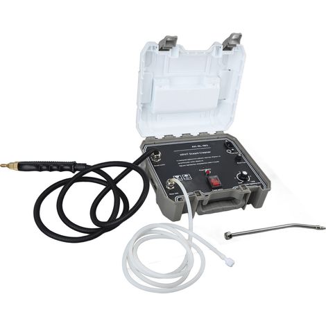 Pistolet à eau puissant de 1500 W, nettoyeur vapeur haute température et haute pression, nettoyeur de hotte aspirante à régulation de pression intelligente, jet pulsé haute pression, norme européenne (1/5)