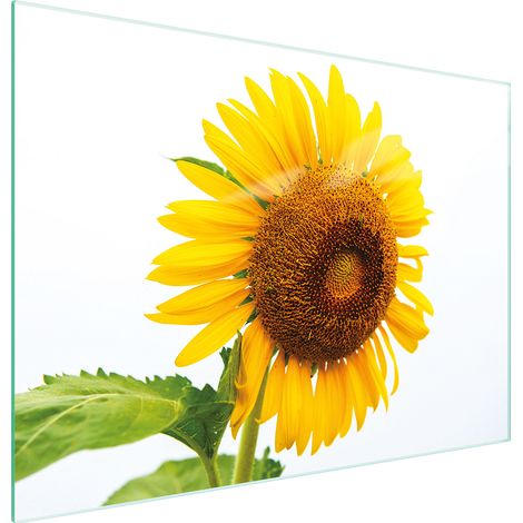 Glasschneidebrett 30x22 Blume (1/5)