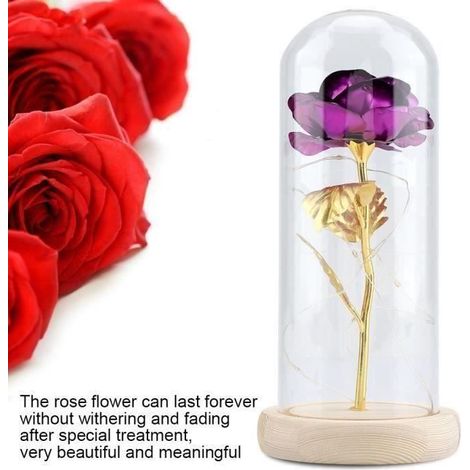 Rose éternelle - La belle et la Bête - Violet - Couvercle en verre - Base en bois - 22 cm de hauteur (1/4)