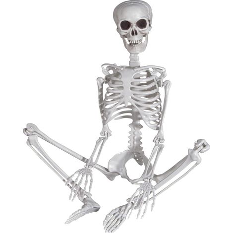Squelette d'halloween en Plastique, 90 cm, avec articulations Mobiles, pour Halloween, Maison, Jardin, Maison, terrasse (1/5)
