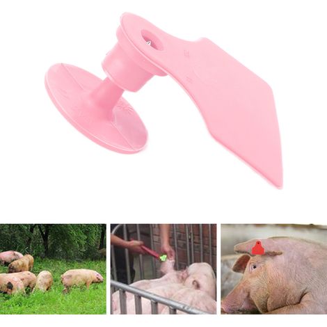 100 Lose/Verkauf von schweinespezifischen Ohrmarken, unbedruckten Anti-Fall-Ohrmarken, Ohrmarken für Sauen, unbedruckten Ohrmarken für Schweine, rosa. (1/5)
