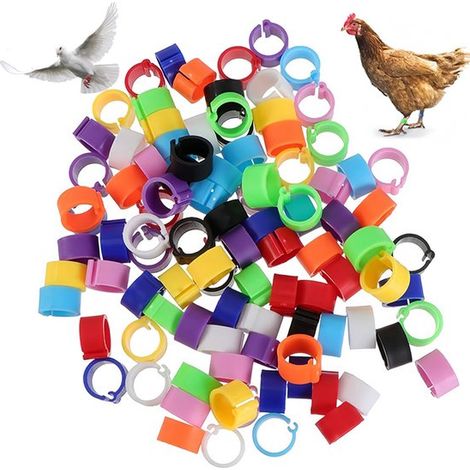 Lot de 100 anneaux de marquage - Anneaux d'identification pour volailles - Anneaux de pattes pour volailles - Anneaux de pattes pour pigeons - Anneaux de pattes colorés pour oiseaux - Convient aux pig (1/5)