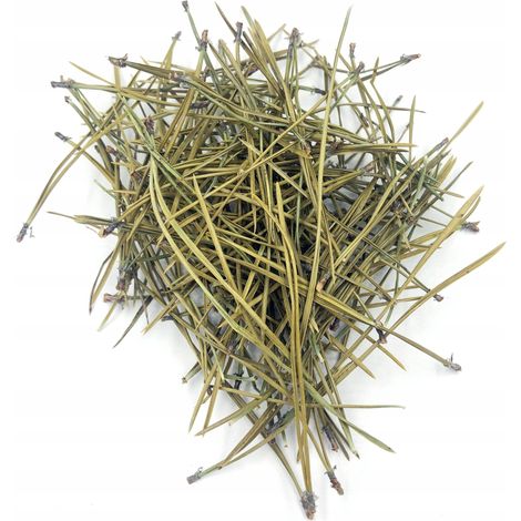 AGUJAS DE PINO 50 G 100% NATURALES