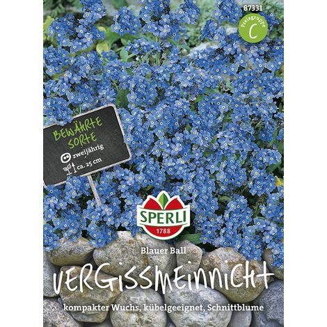Sperli Vergißmeinnicht Blauer Ball - Blumensamen (1/2)