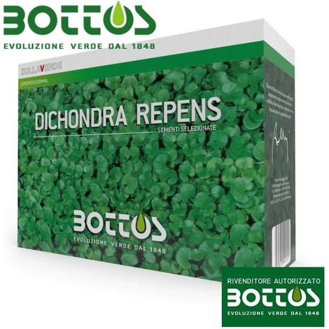Graines de dichondra repens 1 kg – Gazon couvre-sol résistant à la chaleur – Pour espaces ensoleillés et ombragés – Faible entretien – Bottos