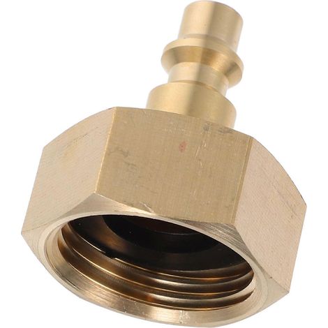 Adaptateur pour tuyau d'arrosage et bouchon de purge pour compresseur d'air de camping-car et système d'arrosage automatique (1/5)
