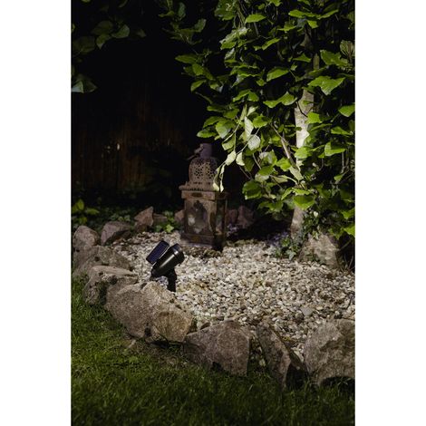 Spot solaire 20lm à piquer, éclairage directionnel pour plantes, arbustes ou entrée de jardin (1/4)