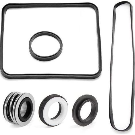 Hayward Super SP2600 1600 2600X Pumpen-O-Ring-Reparatursatz (1/5)