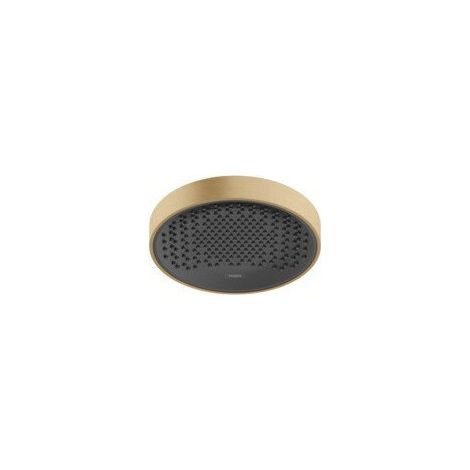 tête de douche 250 1jet bronze brossé