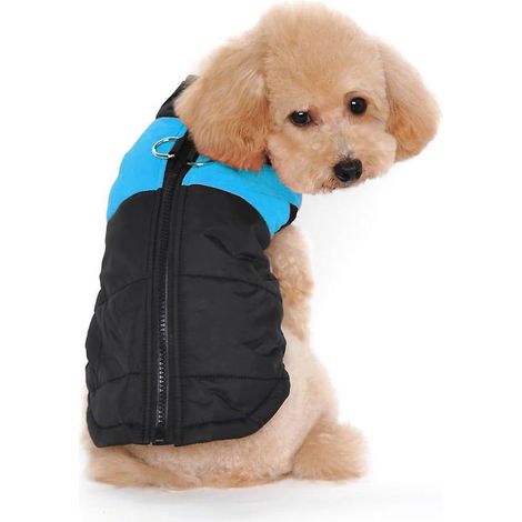 vtements D'hiver Pour Animaux De Compagnie - Bleu S, Manteau En Duvet Rembourr Chaud, Manteau Manteau Pour Chien De Chiot (1/5)