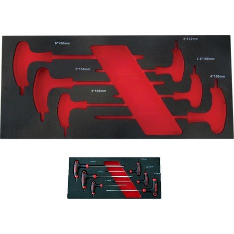MODULO EVA VACIO PARA 6 LLAVES EN "T" PARA CARRO DE HERRAMIENTAS