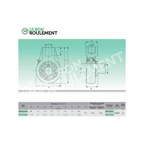 Palier fonte UKECH207+H2307
