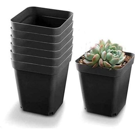 100 pots noirs pour semis Pots de fleurs carrés en plastique Petits pots d'intérieur/extérieur (Noir / 6x6x5,5cm) (1/4)