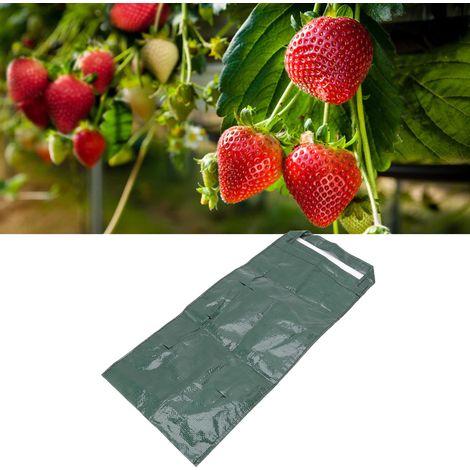 Mehrloch-Pflanzbeutel aus PE zum Aufhängen – Grün – 8 Löcher für Erdbeeren, Gemüse und Blumen (1/5)