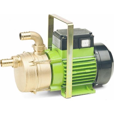 Electro pompe de transfert 30 L auto-amorçante réversible