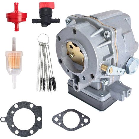 Vergaser kompatibel mit Briggs & Stratton 693480 ersetzt 495181 499306 397245 399623 (1/5)