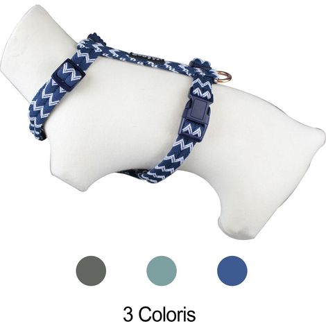 Harnais chien Brasil Bleu Doogy T S