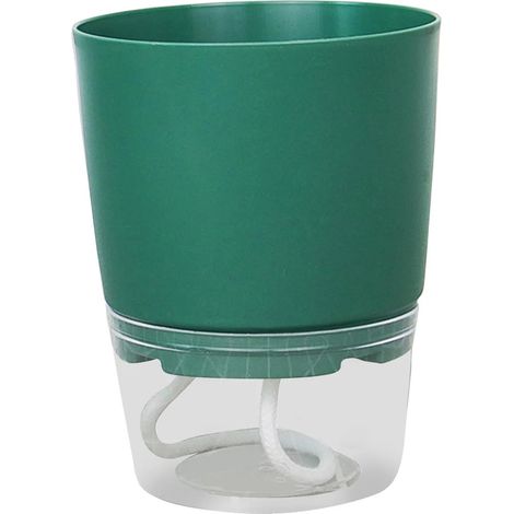 Terrarium de propagation avec vase à base en bois (1/5)