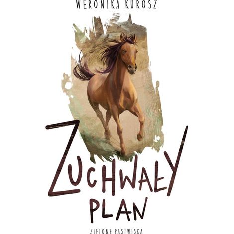 Plan audaz