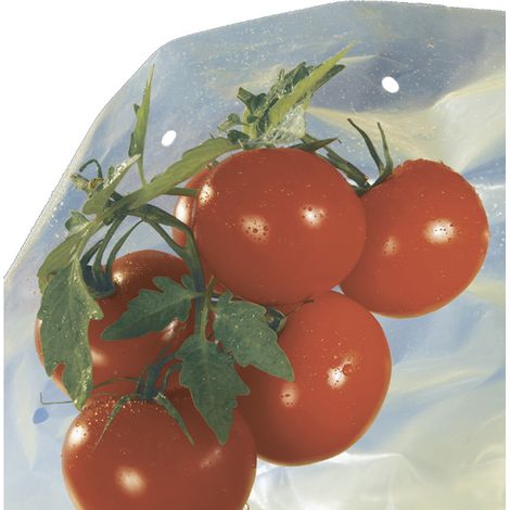 NORTENE Housse de croissance tomate Tomatotube en film perforé jaune - avec liens