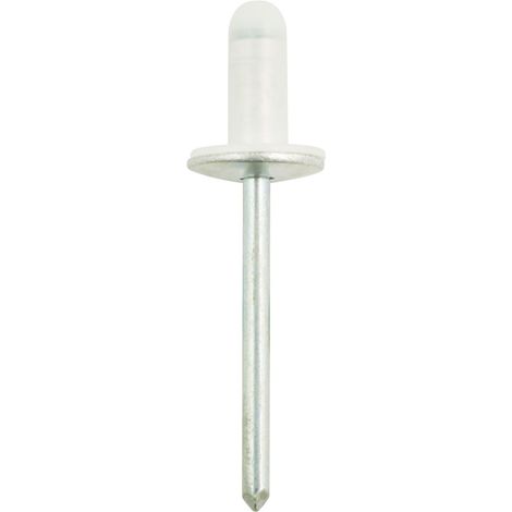 Dichtniete mit 12,8mm Flansch universal,50er Pack (1/2)