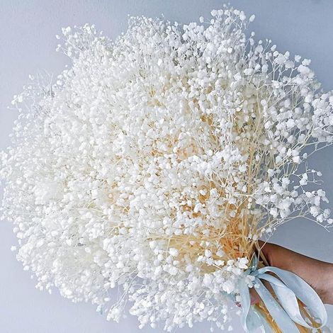 Bouquet de fleurs séchées de 43 cm - Branches de gypsophile 100 % naturelles pour la décoration de la maison, les accessoires photo, les fêtes et les mariages, décoration DIY (décolorées) (1/5)