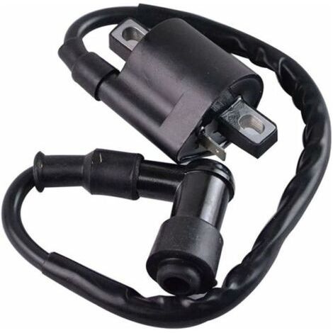 Bobine d’allumage noir Compatible avec Yamaha PW50 PY50 PEEWEE PY PW 50 Dirt Pit Bike Parts (1/4)
