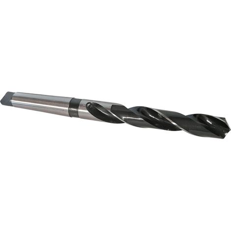 FORETS CONE MORSE - conemorse : FORET DE 22.5