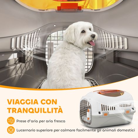 Cage de transport en plastique pour chats et petits chiens jusqu'à 4 kg avec fenêtre sur le dessus, 49 x 32 x 31 cm, grise (1/5)