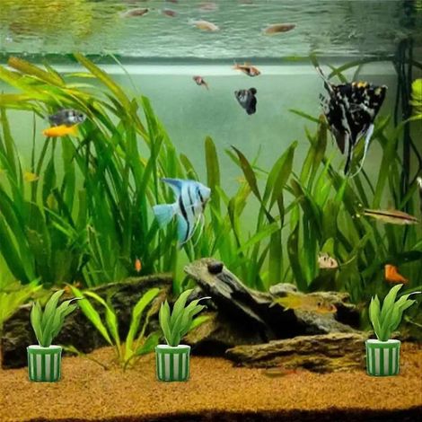 Kit de 10 supports fixes pour plantes aquatiques pour aquarium (1/5)