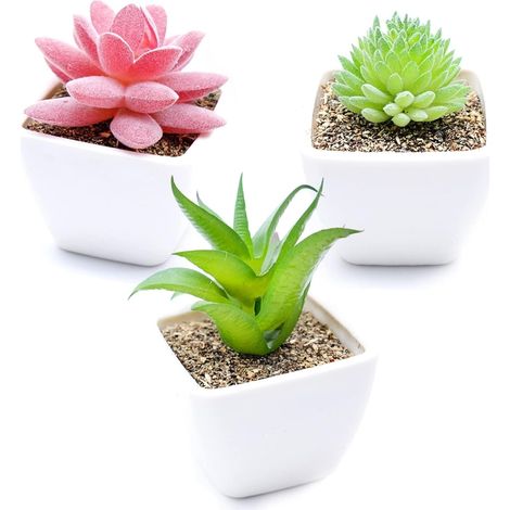 Plantes Succulentes Artificielles en Pot Blanc, Mini Fausses Plantes d’Intérieur Vertes pour Décoration Chambre Salon Bureau ou Rebord de Fenêtre, Lot de 3 (1/5)