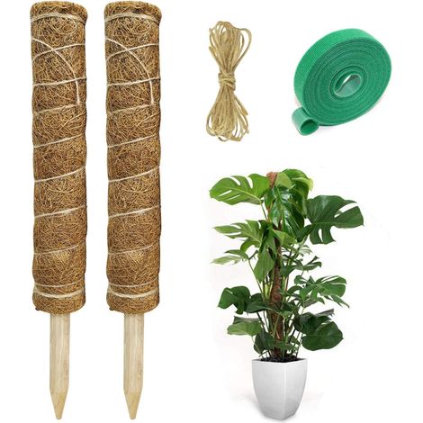 NALOOKAMIC 2 Pièces Tuteur Plante Support Plante Grimpante Tuteur Coco pour Plante Monstera Maison Jardin avec 1 Rouleau Serre Câbles et 2m Ficelle de Jute (40 cm) (1/5)
