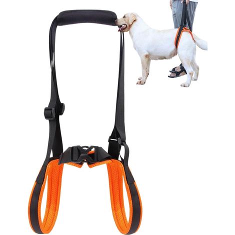 Harnais de Soutien pour Chien Sangles Réglables Poignée Douce Harnais Chien Sangle de soutien pour pattes arrière, grand chiot Canins Handicapés Blessés Marche Quotidienne Mobi (1/5)